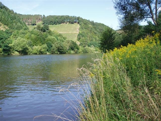 saarburg1.jpg