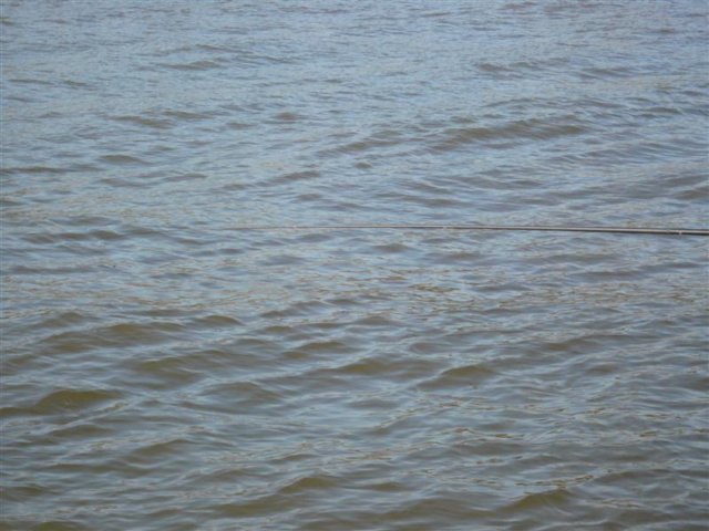 p1000282.jpg