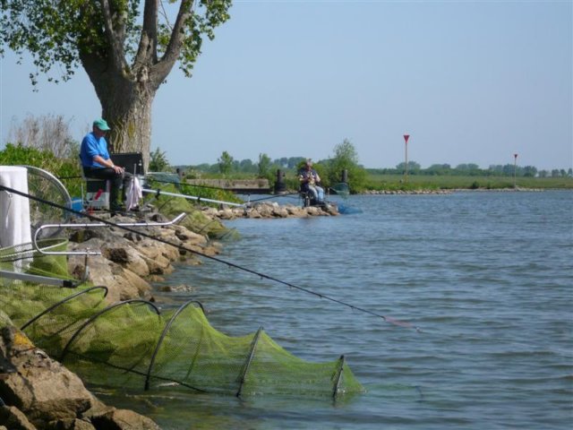 p1000293.jpg