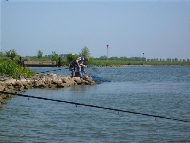 p1000297.jpg